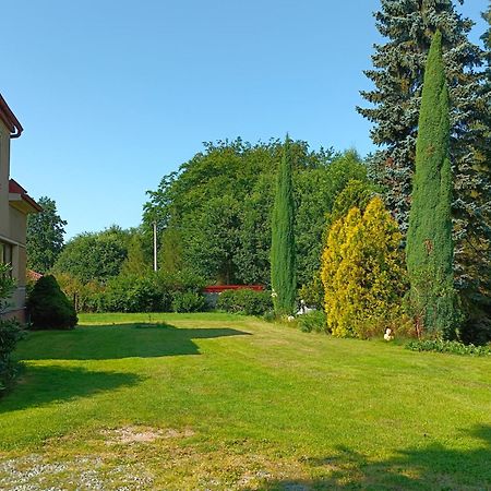 Apartman Za Lesem Červený Kostelec Exteriér fotografie