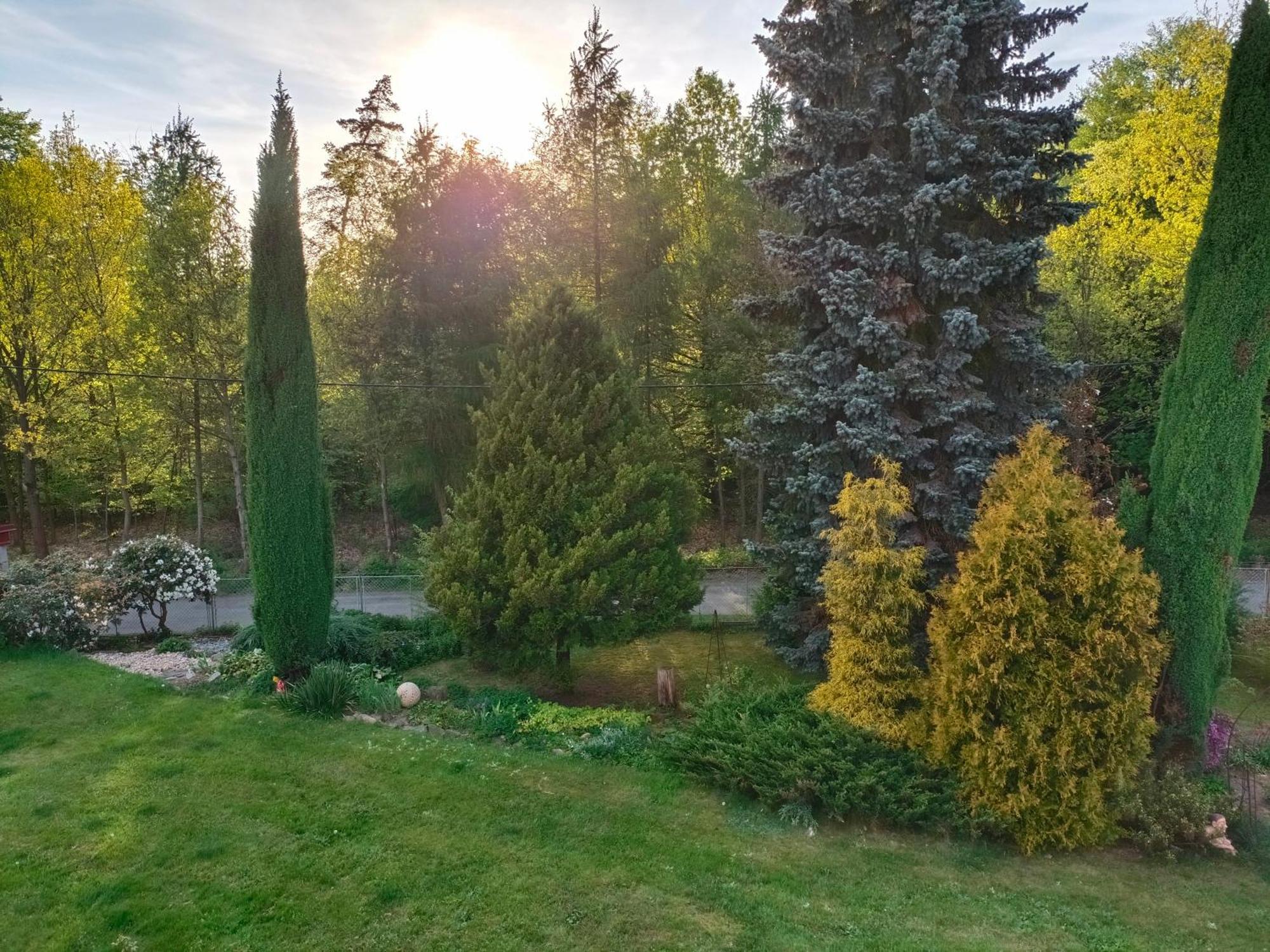 Apartman Za Lesem Červený Kostelec Exteriér fotografie